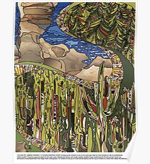 Cycling Mt Lemmon Highway / A Tucson Portrait Story Poster
