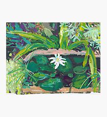 Backyard Pond Photographic Print