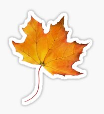 Maple Leaf Sticker