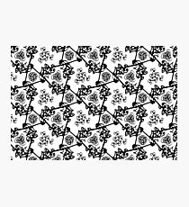 Pen & Ink Photographic Print
