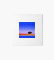 Molinos en verano Art Board Print
