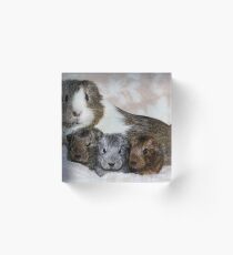 Rose & Babies Acrylic Block