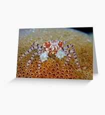 Boxer Crab Greeting Card