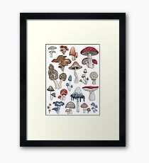 Make Room for the Mushrooms Framed Print