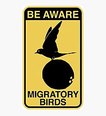 MONTY PYTHON BIRD COCONUT Photographic Print
