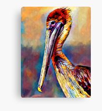Pelican 3 Canvas Print