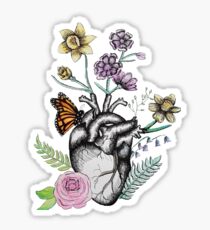 Floral Anatomy Sticker