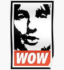 Beeindruckend. Es ist Owen Wilson. Beeindruckend. Poster