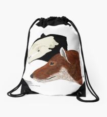 Falkland Island Wolf Drawstring Bag
