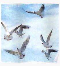 Gulls In Flight Watercolor Poster
