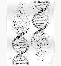 DNA, Aquarell Kunst, Dna Doppelhelix genetisch Poster