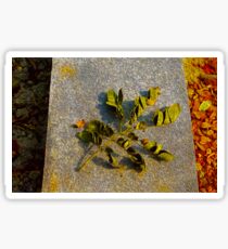 Leaves Sticker