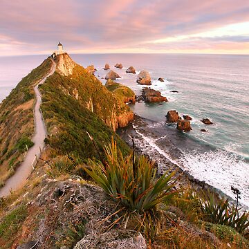 Artwork thumbnail, Fading Light, Nugget Point, South Island, New Zealand by Chockstone
