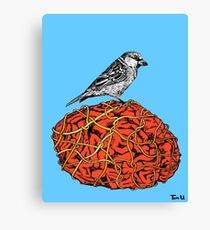 Bird Brains Canvas Print