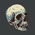 « Crâne » par jafundo
