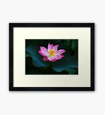 Flower Framed Print