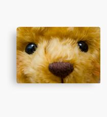 TeDdY's FaCe! Canvas Print