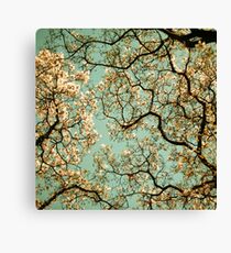 Playing Favorites Canvas Print