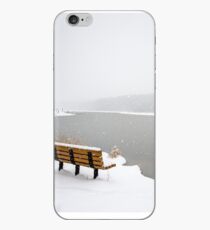 Looking Over the Frozen Lake iPhone Case
