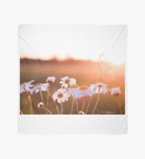 Colorful sunset with flowers Scarf