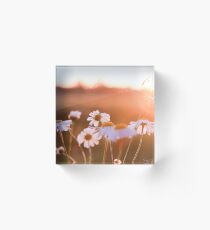 Colorful sunset with flowers Acrylic Block