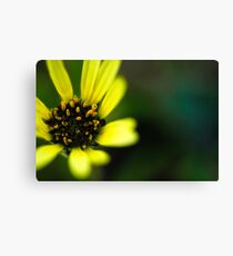 tiny green bug Canvas Print