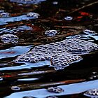 «Burbujas en burbujas» de Debbie Oppermann