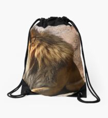 Lion III Drawstring Bag