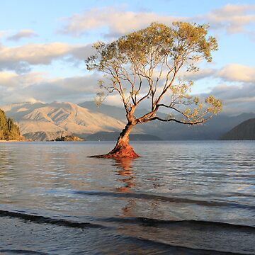 Artwork thumbnail, Lake Wanaka, South Island, New Zealand by Chockstone