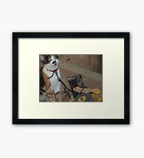 playing in the sandpit Framed Print