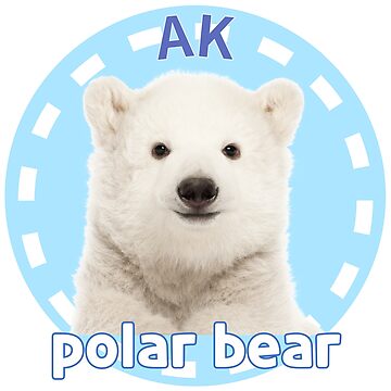 Polar Bear On Ice Stickers