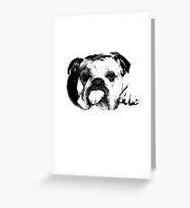 American Bulldog Animal Themed Gifts Greeting Card