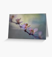 Elegant Budding Twig Greeting Card