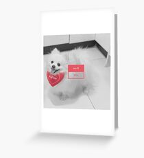 White Dog - wuff you Greeting Card