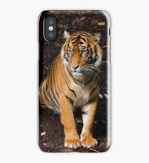 Tiger iPhone Case