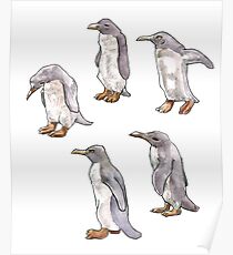 Penguins Poster