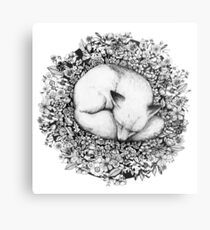 Fox in Blumen schlafen Metalldruck