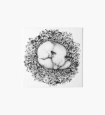 Fox Sleeping in Flowers Art Board