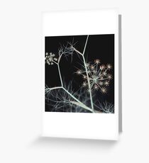 Night Whispers/Dark Floral Greeting Card