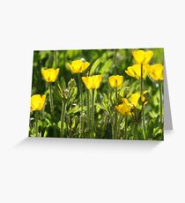 Buttercups Greeting Card