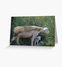 Baa Baa Baa Greeting Card
