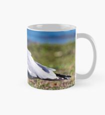 Seagull Portrait Mug