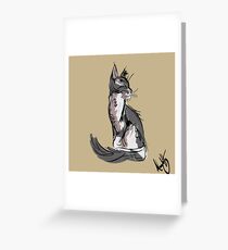 Maine Coon Greeting Card