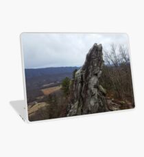 Dragons Tooth Laptop Skin