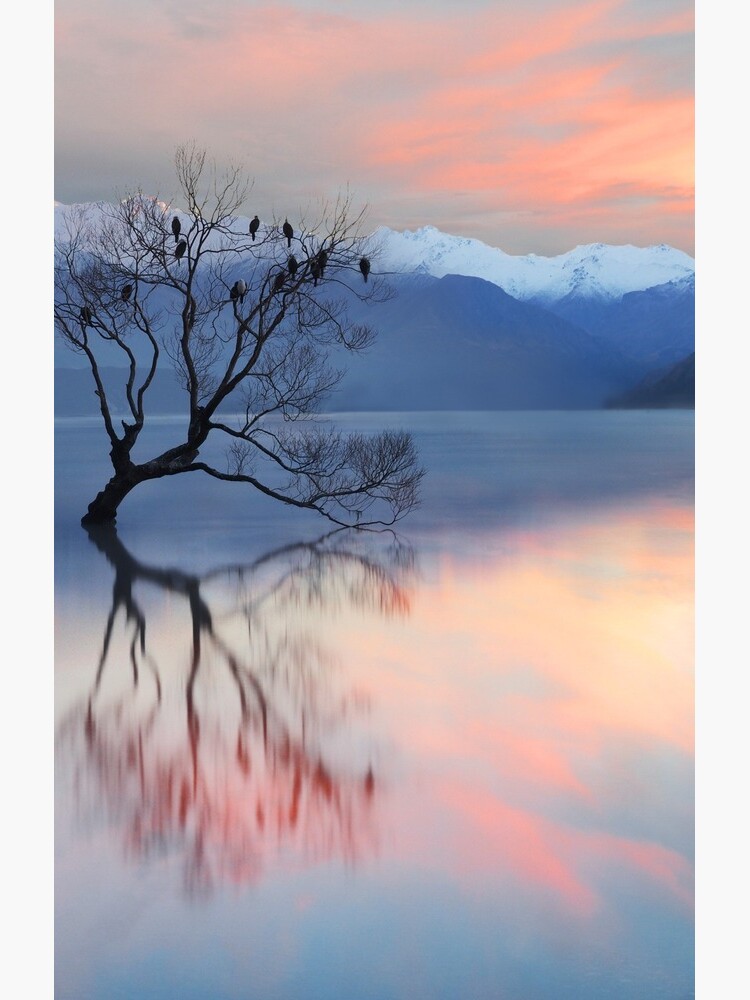 Pink Sky at Lake Wanaka by PeterH