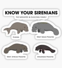 Know Your Sirenians Sticker