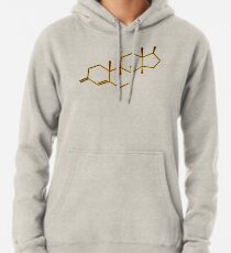 Testosterone Pullover Hoodie
