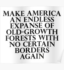 Make America an Endless Expanse of Old-Growth Forests with No Certain Borders Again Poster