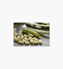 Green Shell Beans Art Board
