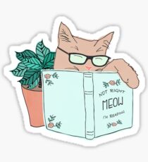 Nicht richtig Miau Ich lese Sticker